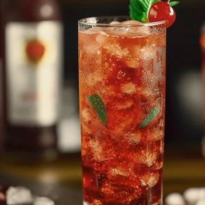 imagem do produto Soda de Cranberry 