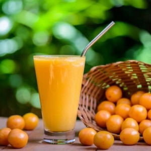 imagem do produto Suco de Cajá 