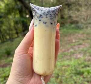 imagem do produto Geladinho Negresco