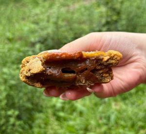 imagem do produto Cookie caramelo salgado