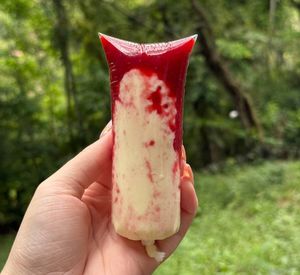 imagem do produto Geladinho Ninho com Morango