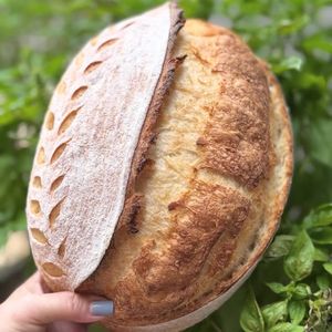 imagem do produto Pão de fermentação natural 