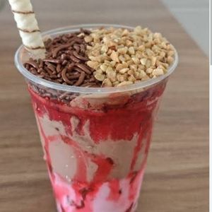 imagem do produto Sorvete 2 bolas 300ml 