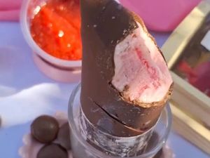 imagem do produto Juju Gourmet Sensação