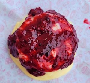 imagem do produto Mini Vulcão Ninho com Frutas Vermelhas