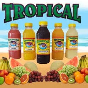 imagem do produto Suco Tropical Abacaxi com Hortelã Pet 480ml