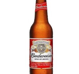 imagem do produto BUDWISER