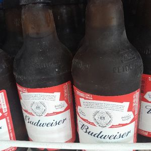 imagem do produto Litrinho BUDWEISER