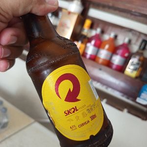 imagem do produto Skol 