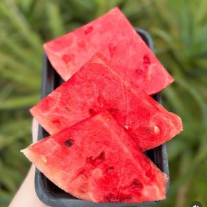 imagem do produto Bandeja melancia 