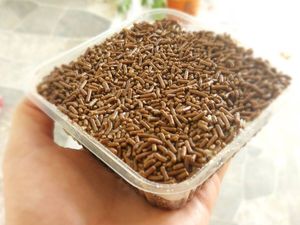 imagem do produto Chocodream