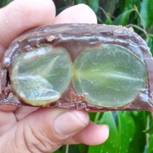 imagem do produto TRUFAS COM FRUTA 