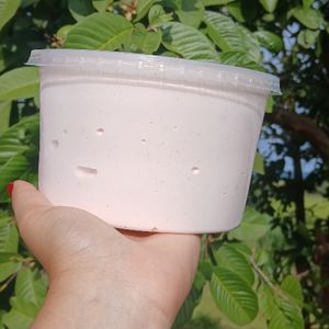 imagem do produto Goiaba 1L