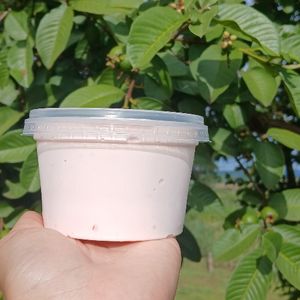 imagem do produto Goiaba 250ML