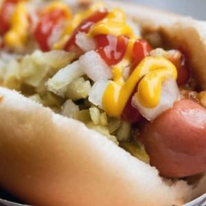 imagem do produto Nirvana Dog (Simples) 