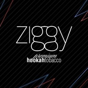 imagem do produto Rosh Ziggy 