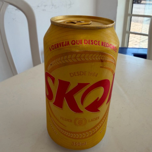 imagem do produto SKOL LATA