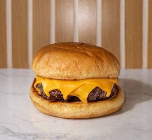 imagem do produto Arya (Cheeseburger)