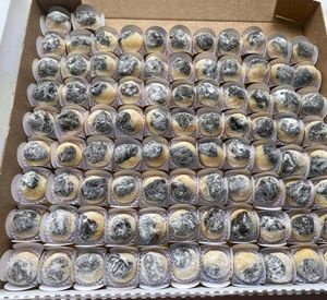 imagem do produto Cento de brigadeiro Premium