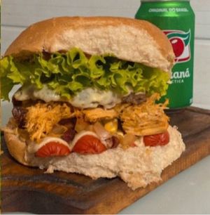 imagem do produto X-Tudo