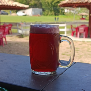 imagem do produto Caneca de Chopp de Vinho