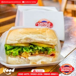 imagem do produto 11 - X-Frango