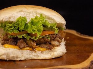 imagem do produto 14 - X-Filé Mignon