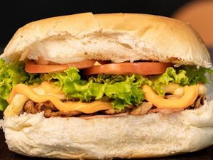 imagem do produto 23 - Frangrill Cheddar