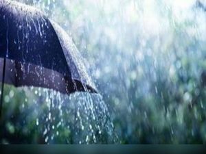 imagem do produto Dia de Chuva