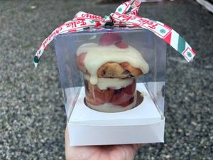 imagem do produto Mini Chocotone Presenteável 100g (Escolha seu Recheio)