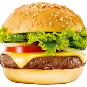 imagem do produto X-salada 