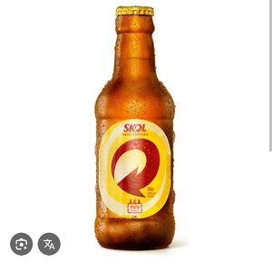 imagem do produto Skol 300 ml retornável 