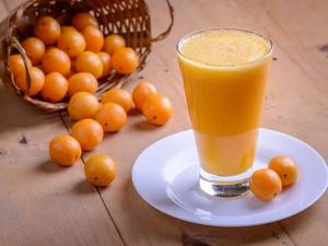 imagem do produto Suco taperebá - 300ml