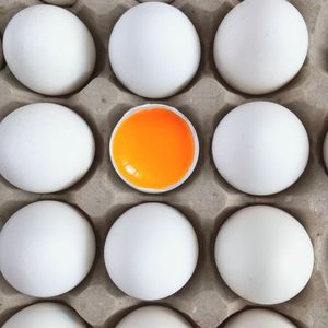 imagem do produto 30 ovos extra brancos