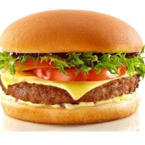 imagem do produto X-SALADA