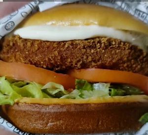 imagem do produto X-Chicken