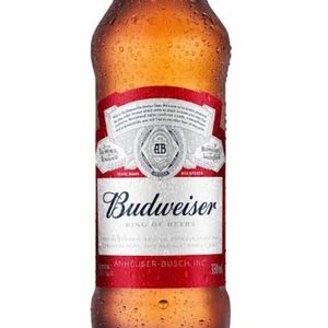 imagem do produto Budweiser 330ml