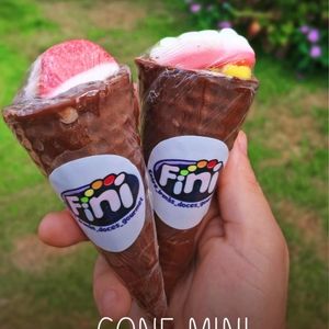 imagem do produto Fini