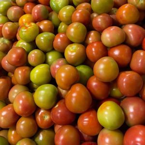 imagem do produto Tomate 