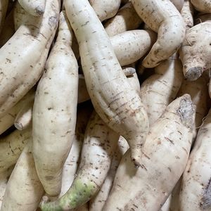 imagem do produto Batata Doce Branca