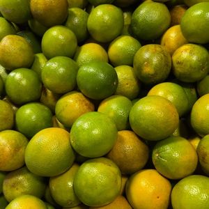 imagem do produto Laranja 