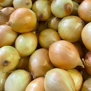 imagem do produto Cebola 