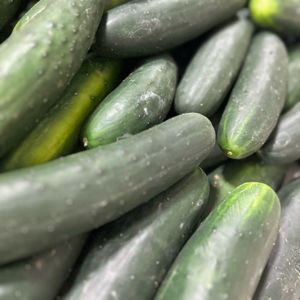 imagem do produto Pepino 