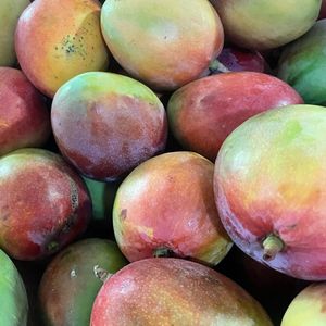 imagem do produto Manga 