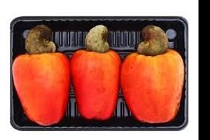 imagem do produto BANDEJA CAJU 