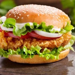 imagem do produto Super Emanuel de Frango Desfiado gourmet