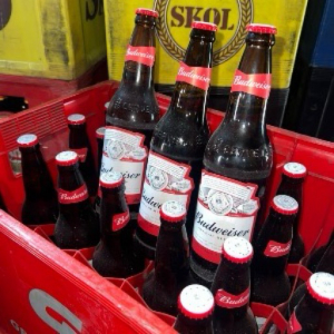 imagem do produto Budweiser garrafa 600ml