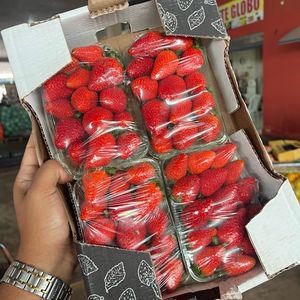 imagem do produto CAIXA DE MORANGO 4 BANDEJAS 