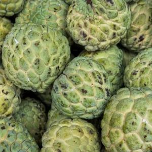 imagem do produto PINHA CAIXA COM 6 