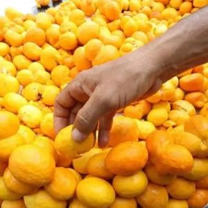 imagem do produto Pequi bandeja 